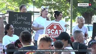 500 personnes marchent à Papeete pour dire stop à la maltraitance animale