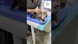 아니, 오늘은 안 돼!