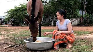 LYLY sell something and Take care Horse at her hometown EP #03