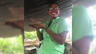 Unearthing the Wonders of Xunantunich