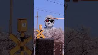 Sometimes, don't trust your eyes #asmr  #funny #odlysatisfying #satisfying #fyp #illusion