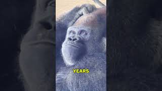 실제로 일어난 야생 동물 복수 이야기! 😲