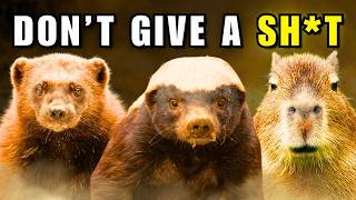 5 Animals That Don’t Give a Sh*t