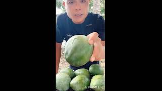 🔴 How to cut watermelon by funny man 🔴