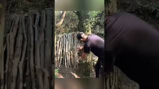 cozy shelter from clay and an old wheel 🛞#survival #bushcraft #camping #cooking #wildlife #asmr