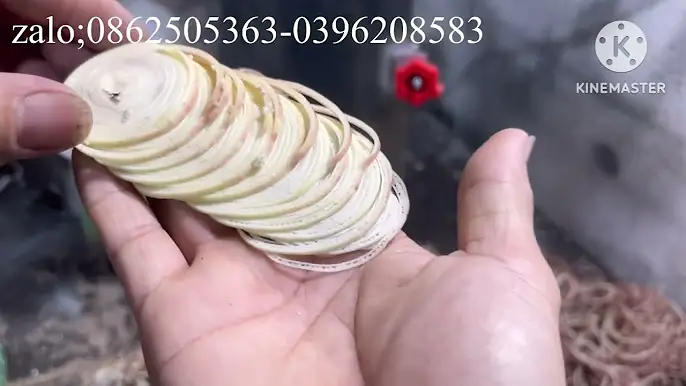 máy thái hoa chuối - bi chuối ;0396208583