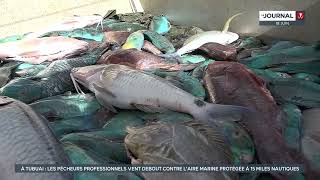 Aire marine protégée : la décision du Pays fait des vagues aux Australes