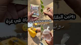 روتين البقاء في غزة😩!! #اكسبلور #فكرتين #طبخ #راجعيلكم #وصفات #food #ترند #فطور