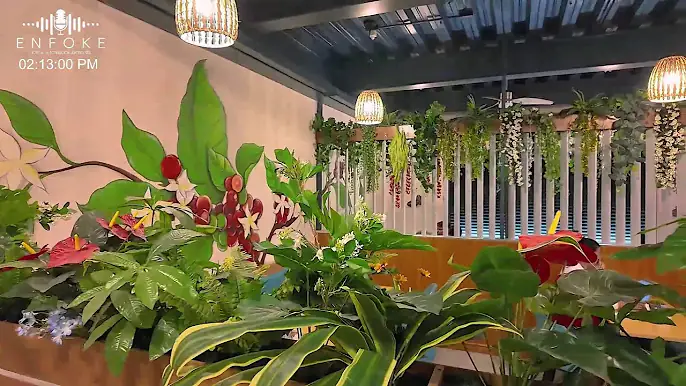 Enfoke cu Patrick Paskel 24 di juli 2025