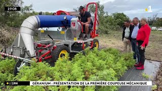 Une coupeuse de géraniums a été conçue spécialement pour La Réunion