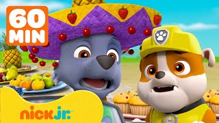 Patrulha Canina | Os Melhores Resgates em Equipe de Rubble e Rocky! com Ryder, Chase e Zuma