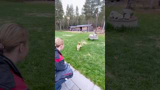 അന്നയുടെ വീട്ടിൽ 🥰❤️#mallusinfinland #familyvlog #positivevibes #dailyvlog #family #minivlog