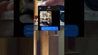 $20,000 for a Cat Surgery?