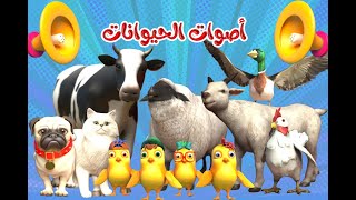 اغنية اصوات الحيوانات🥳 | اغاني اطفال بون بون