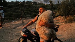 Top Channel/ Delen në krahë në motor, flet për herë të parë shqiptari hero në Greqi: Ishin lidhur...