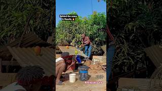 Unity - Nature fruit🥭(Creativity Video)