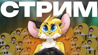 ЭХХ ДУРАЦКИЙ СТРИМ ПИНСА ф*рри