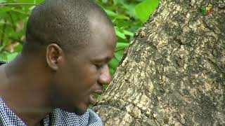 Bembèrèkè : Wêwêrè, entre mystère et spiritualité