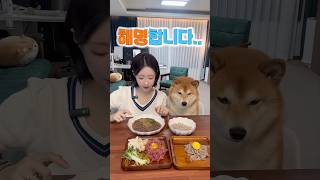 제가 다 말씀 드리겠습니다..
