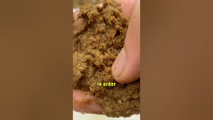 Never Doubt The Sacred Craft