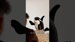 حوار مع  حوت الاوركا