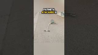 Amor sobre ruedas: la patineta mascota 🛹🐾💙