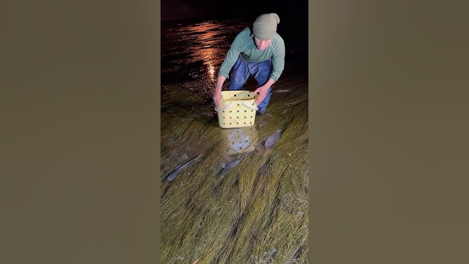 Natutulog ang mga isda sa damuhan😲😲😲