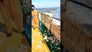 Do you want to do a job in the ocean 🌊🥶 #dangerousocean #dangerousjobs #titanicnighty #manga