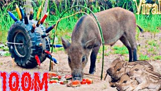 Amazing Most Building Beautiful House Wild Pig Trap Using Big Sharp Wood - How To Make Wild Pig Trap