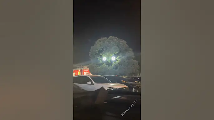 Sometimes, don't trust your eyes #asmr  #funny #odlysatisfying  #satisfying #fyp