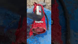 When Did the Family Who Called You a Monster Come Crawling Back for Help?