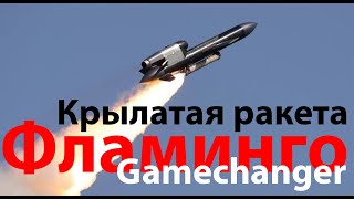 Крылатая ракета Фламинго - стимул для Путина