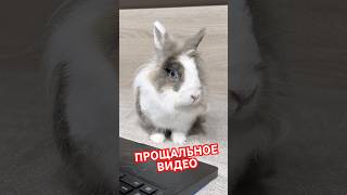 Нам нужно поговорить... (КОНЕЦ?)