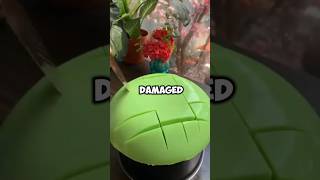 #비크람사르카르