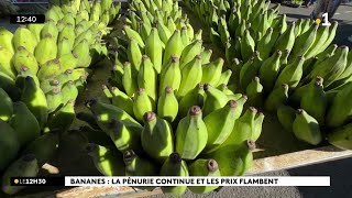 Le prix des bananes flambe à La Réunion