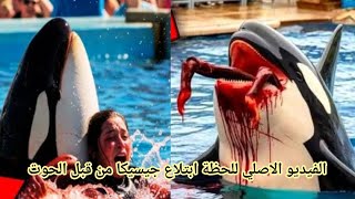 اللحظات الأخيرة المرعبة لمدربة أوركا جيسيكا رادكليف، jessica dolphin accident vidéo