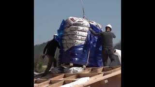 Unbelievable Wooden House Creation Crafting Nature into a Home