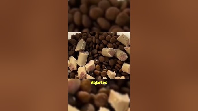 Perros ayudan a rescatar a su amigo perro de la carretera