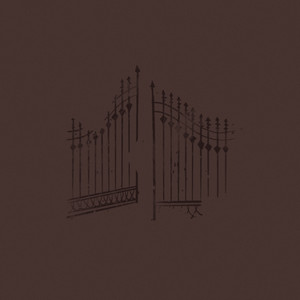 മിന്നി മറഞ്ഞു