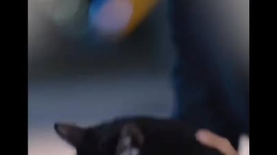 #best #StarsEverywhere #trendingreelsvideo #trending #trendingvideo
Kismat.. 😀😀