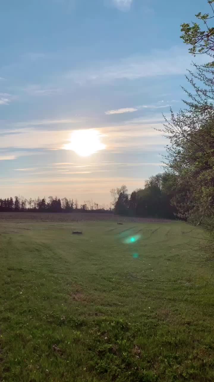 The most viewed video on tik tok