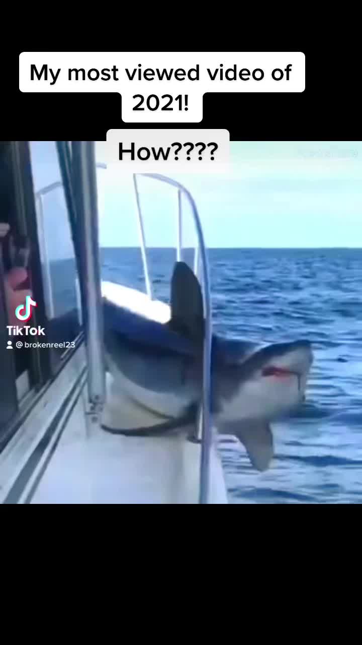 #foryourpage #fyp #foryou #mostviewed #tiktok #how #shark