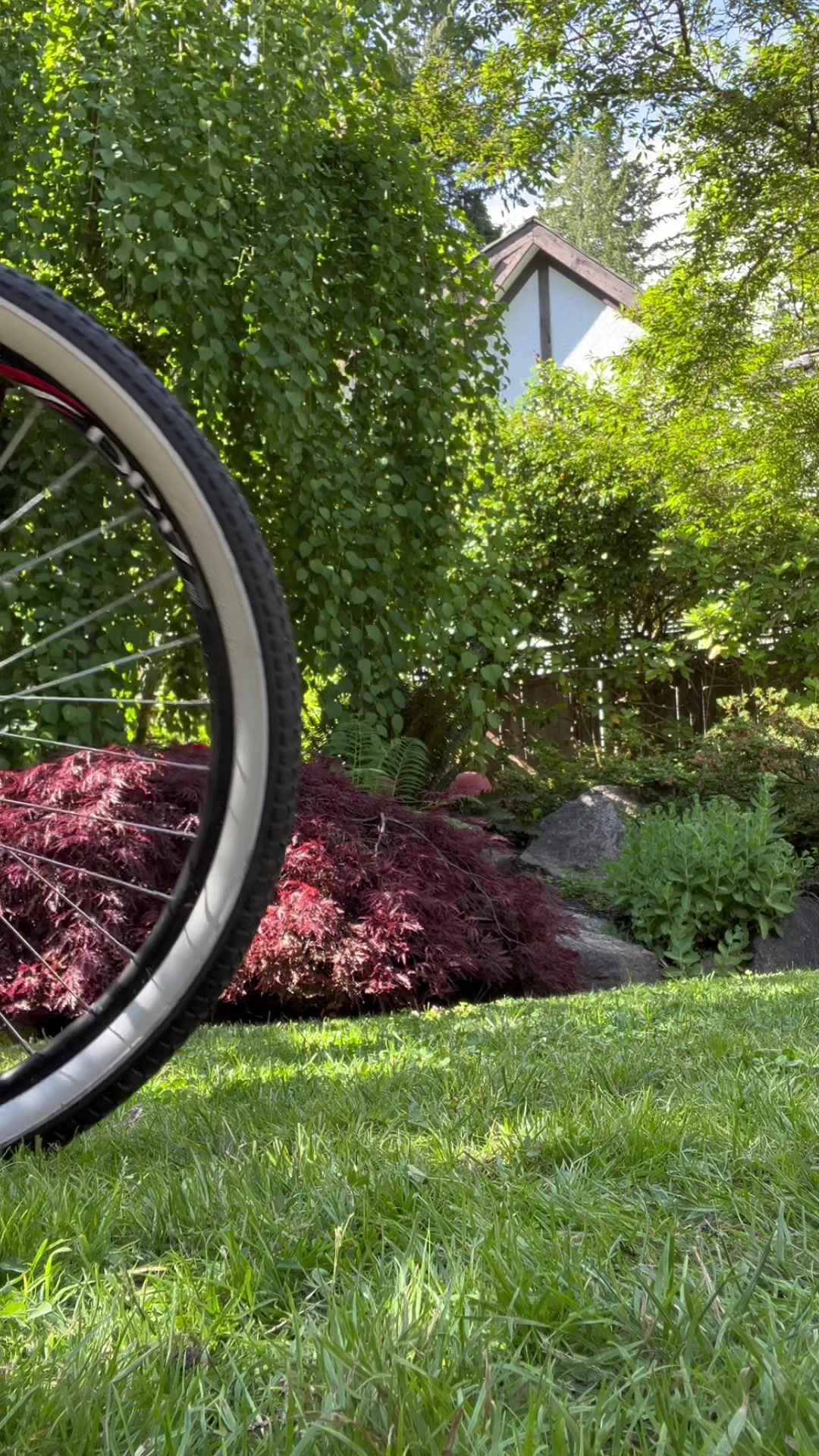 Most viewed tiktok of 2022? 26.2M