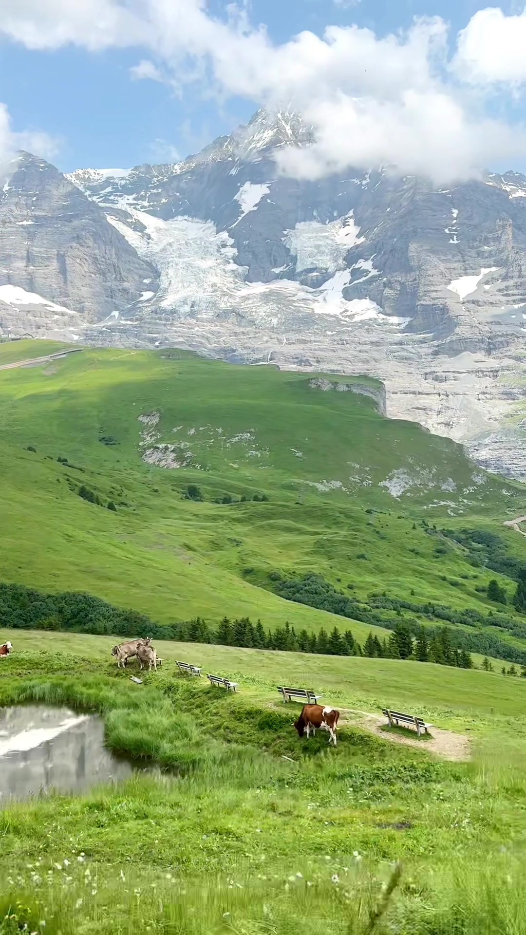 20 million viewers and still counting🥹 #switzerland #traveltiktok 