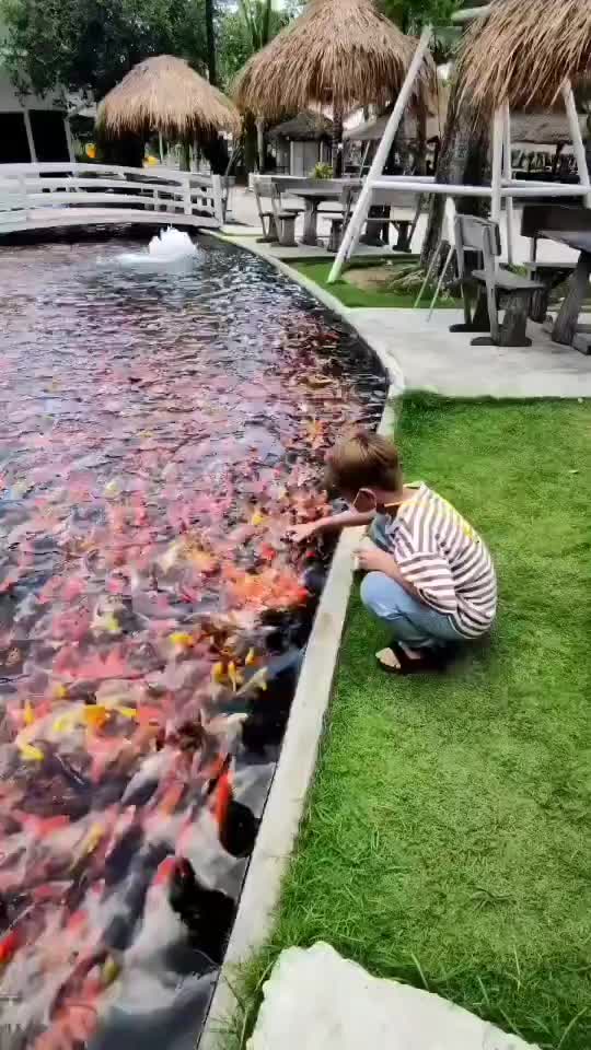 71 billion likes on tiktok tiktok uk K Most Famous TikToker 1 billion likes video Last 7 Days Watched TikTok 63 billion views 1 trillion likes tiktok 1.7 billion views #foryou #foryoupage #viralvideo #fypシ゚viral