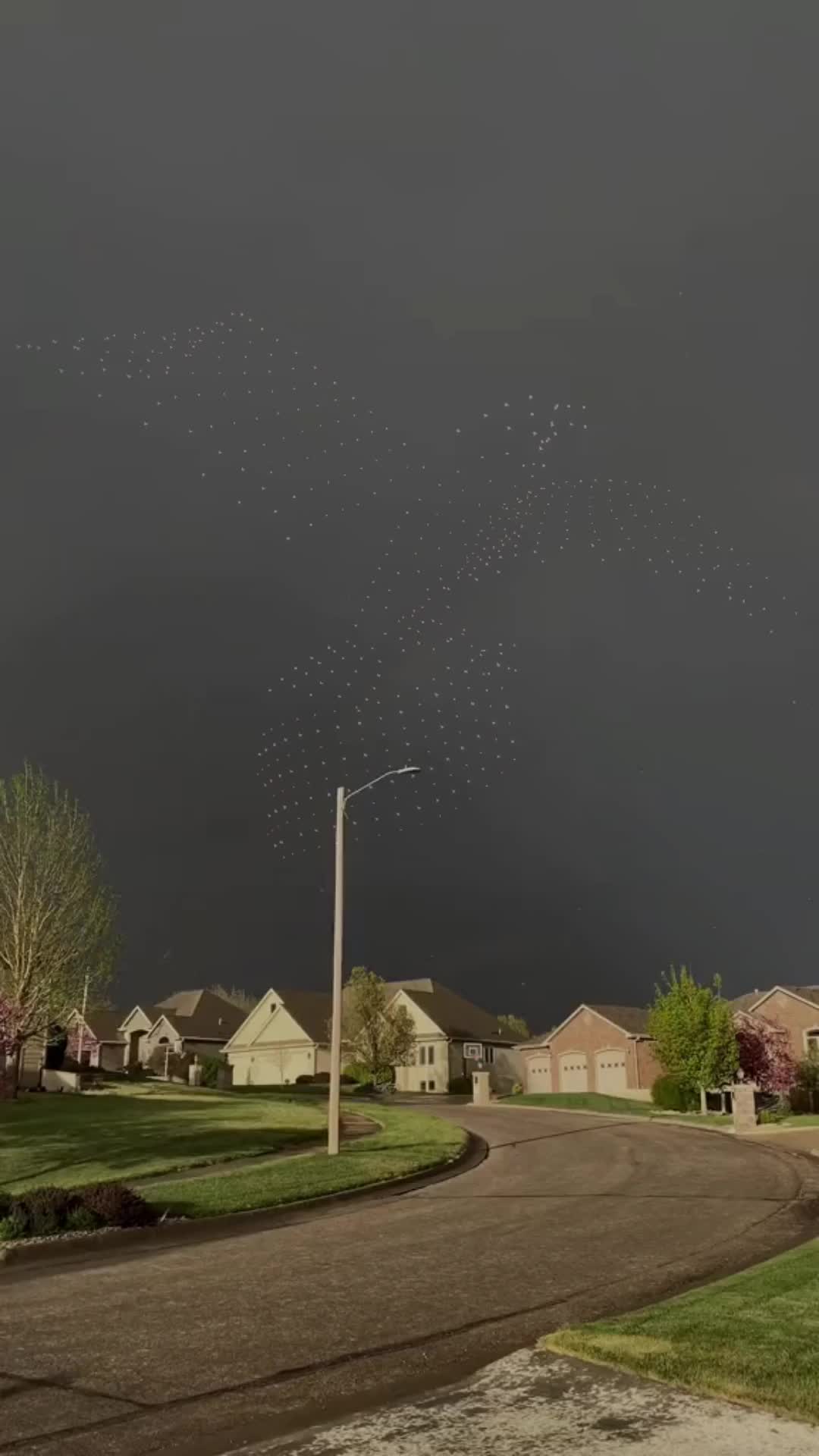 Pourquoi j'ai autant de vues?🤔#2  . . . . . . #foryou #mostviewedvideoontiktok  #idrowzen #foryoupage 