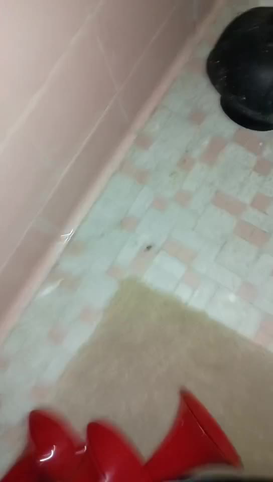 (most viewed and liked video on my tiktok account) he needs to pay up... #trainhorn #centipede #skit 