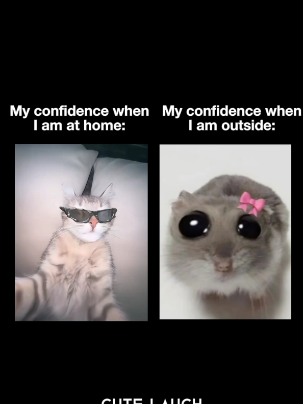 My confidence at home and outside... #relatable #viral #goviral #popular #aestheticvideos #trending #fyp #reels #1millionviews #catsoftiktok #cats #cat #funnytiktok 