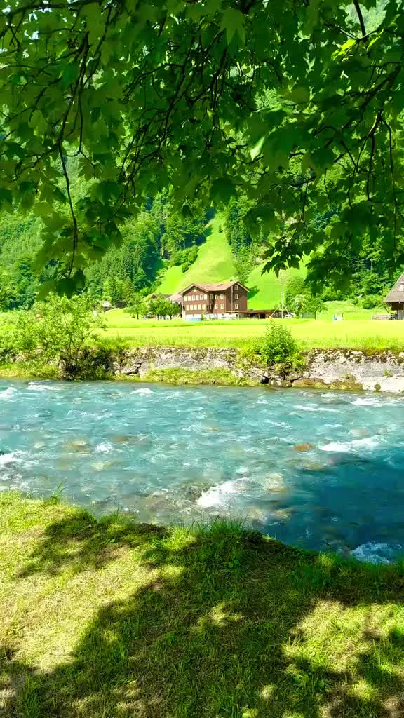 1000 million views viral video #creatorsearchinsights #1000millionsviews #1000millionviewsviralvideo #viewschallenge #viralvideo #viral?videotiktok😇😇1mellean #creatersearchinsight #creatersearchingsight #tiktokviralmyvideo