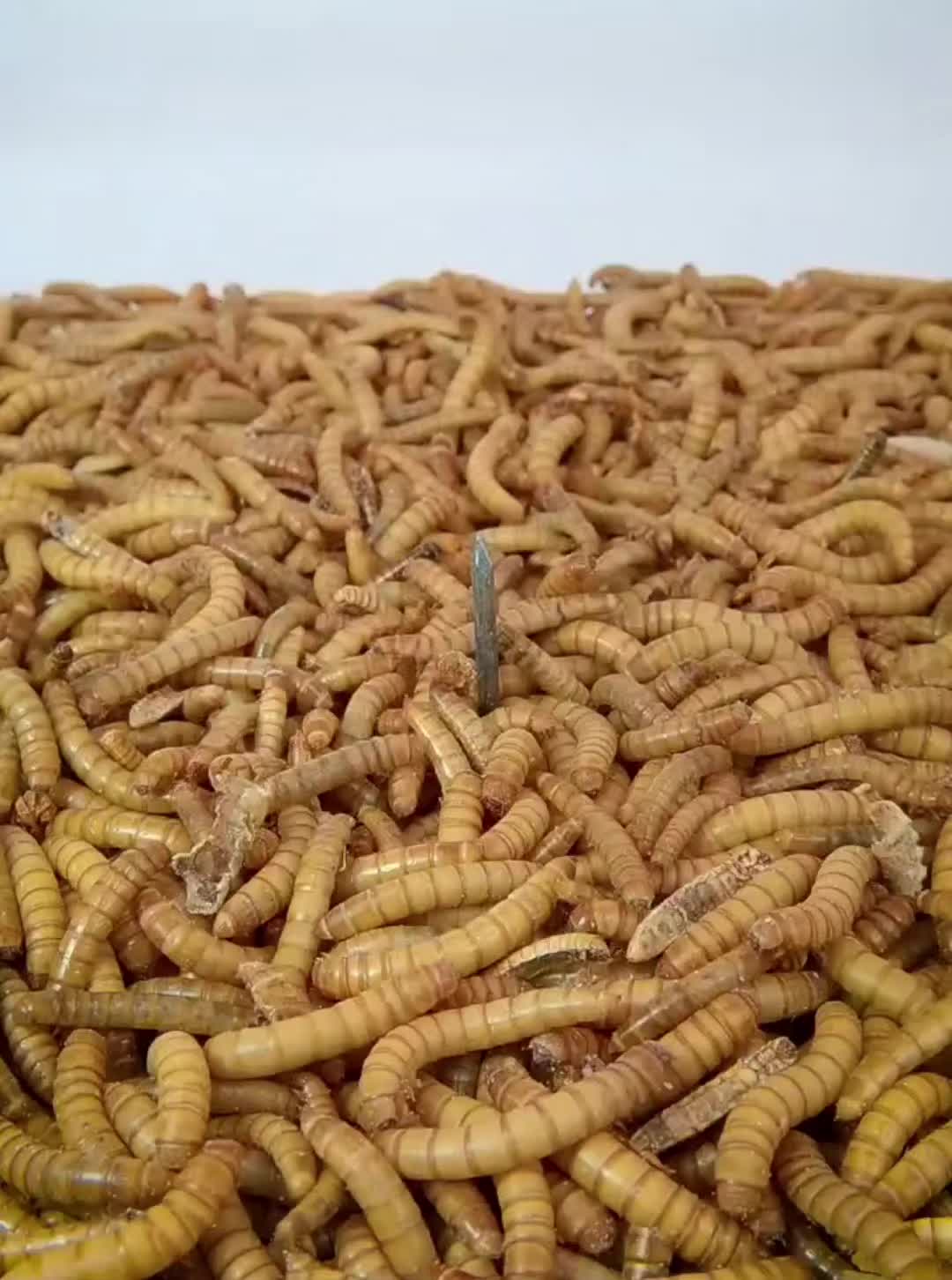 #fy #foryou #viral #tiktok #videoviral  